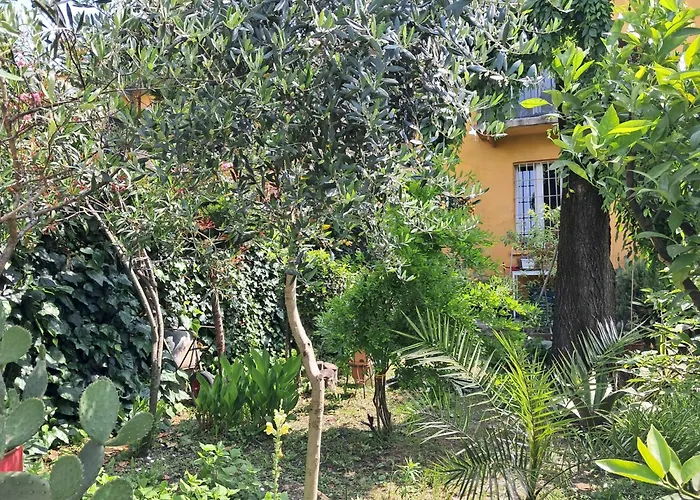Room With A Garden